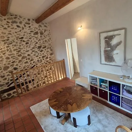 Belle Maison Cevenole, Terrasse, Vue Panoramique * Saint-Romans-de Codière