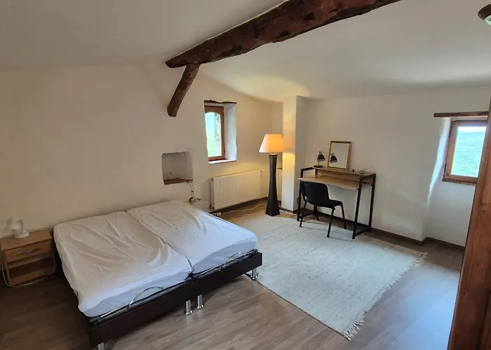 Belle Maison Cevenole, Terrasse, Vue Panoramique Saint-Romans-de Codière