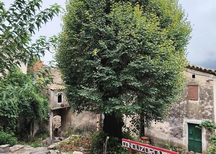 Belle Maison Cevenole, Terrasse, Vue Panoramique Dom wakacyjny